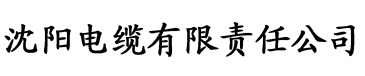 日韩AV片观看无码电缆厂logo